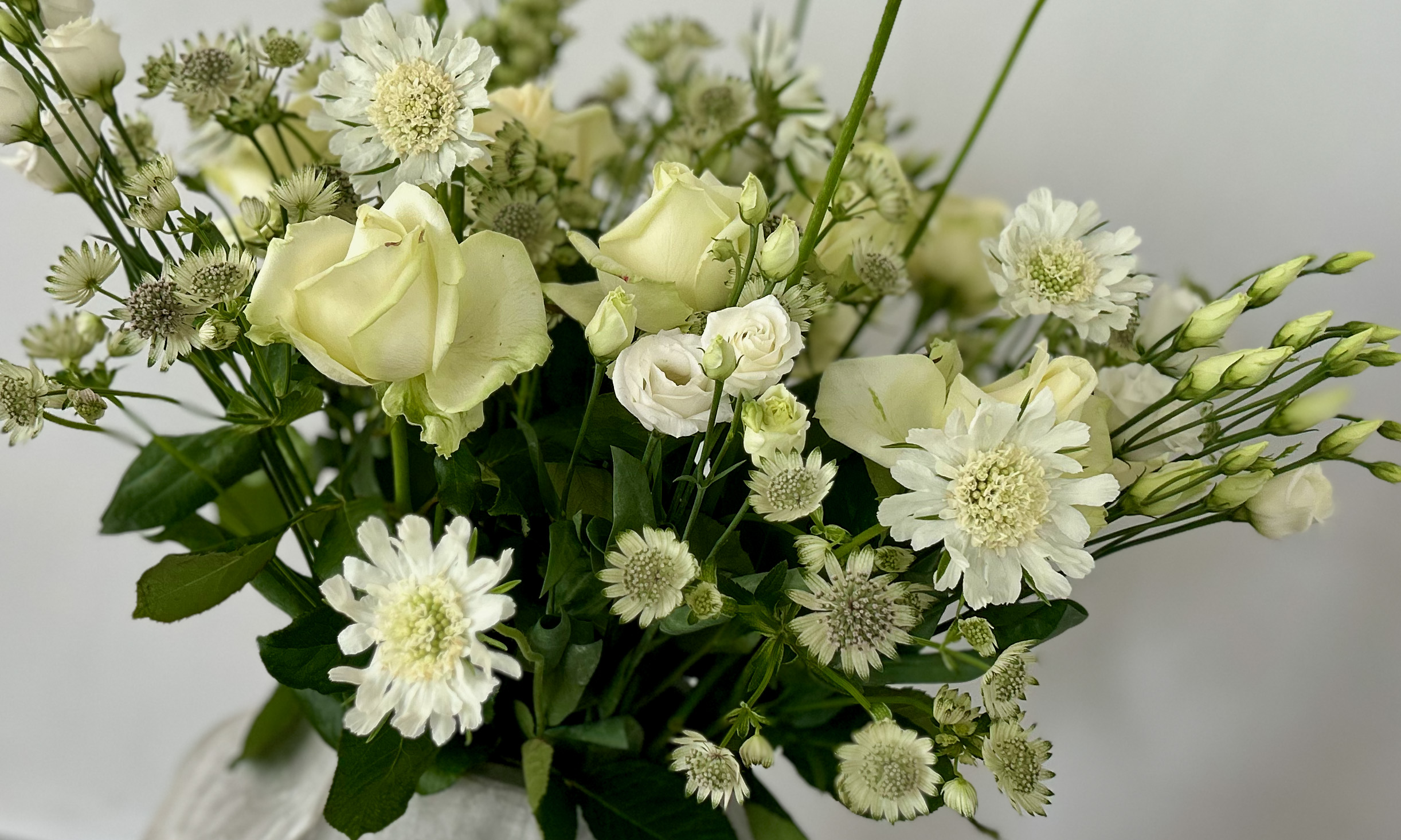 Liefde die bloeit